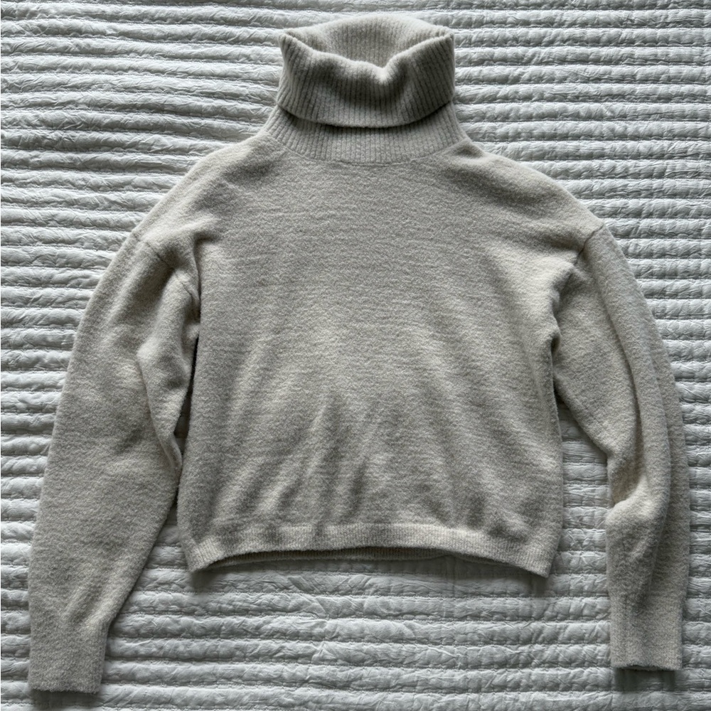 Aritzia Wildfred Free Hush Knit Cropped Turtleneck